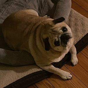 Meet your Posher, Nathaniel